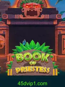Descubra o Fascinante Universo de BookOfPriestess: Regras e Estratégias